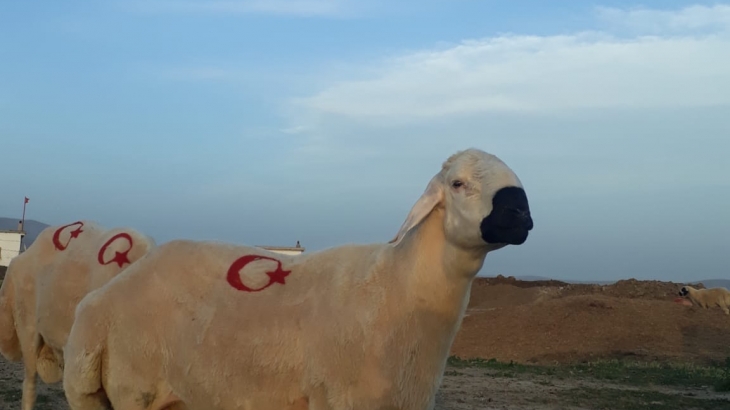 AKKARAMAN-3 PROJESİ (GÖÇÜ)
