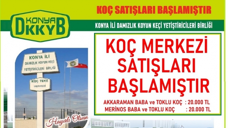 KOÇ SATIŞLARIMIZ BAŞLAMIŞTIR
