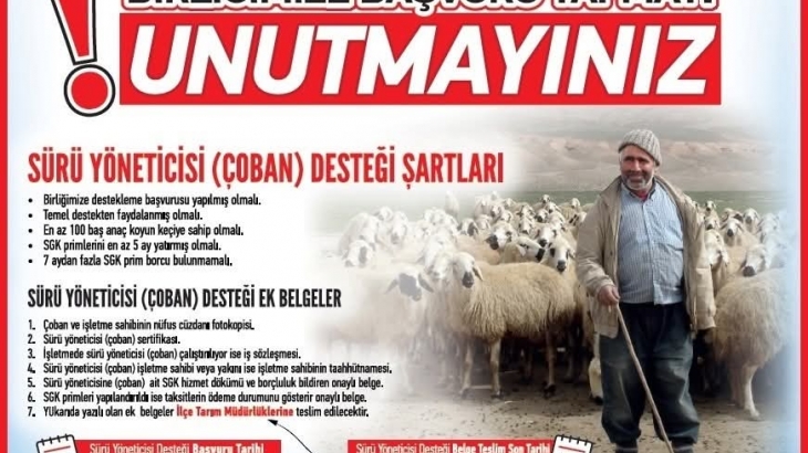 SÜRÜ YÖNETİCİSİ DESTEĞİ