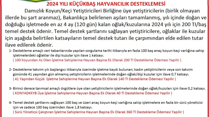 YENİ DESTEKLEME MODELİ AÇIKLANDI