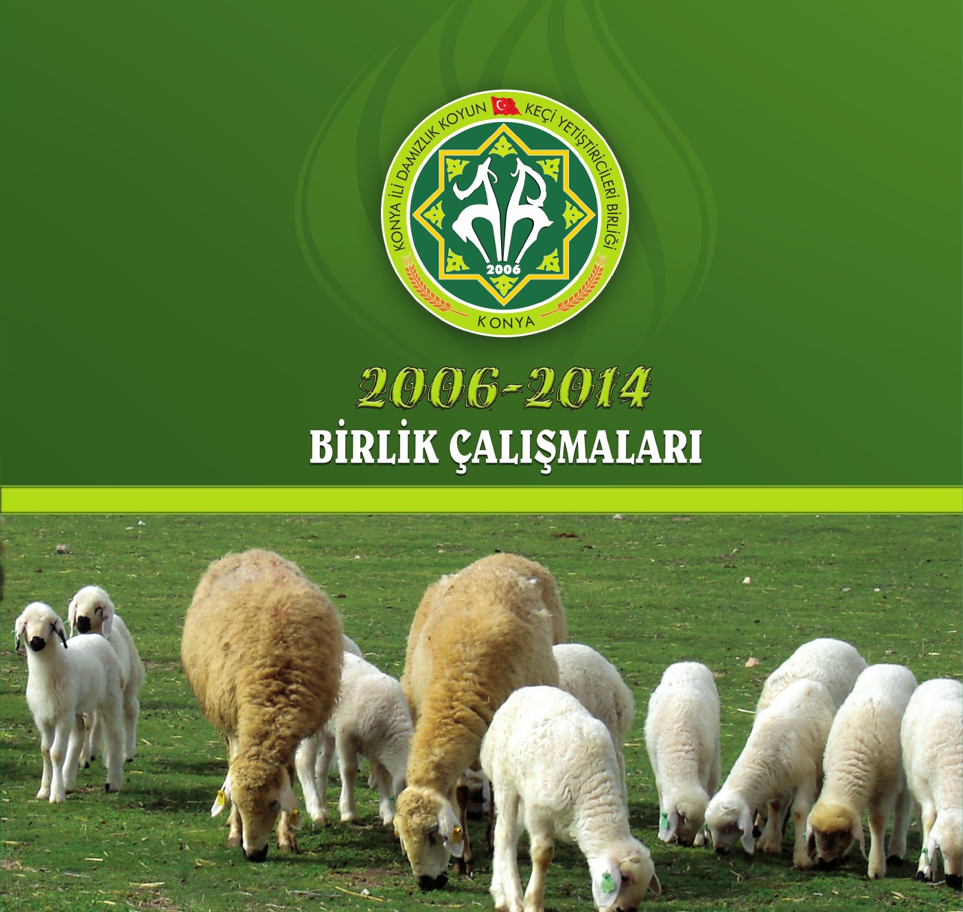 FAALİYETLER