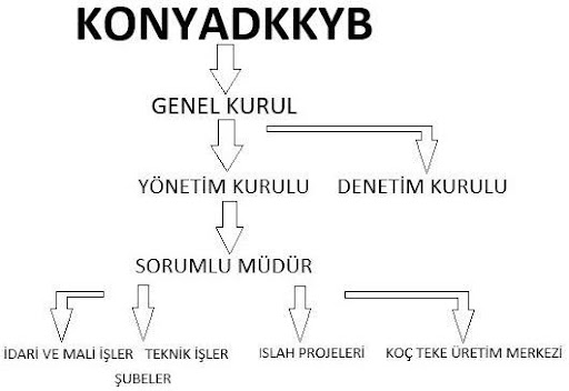 ORGANİZASYON