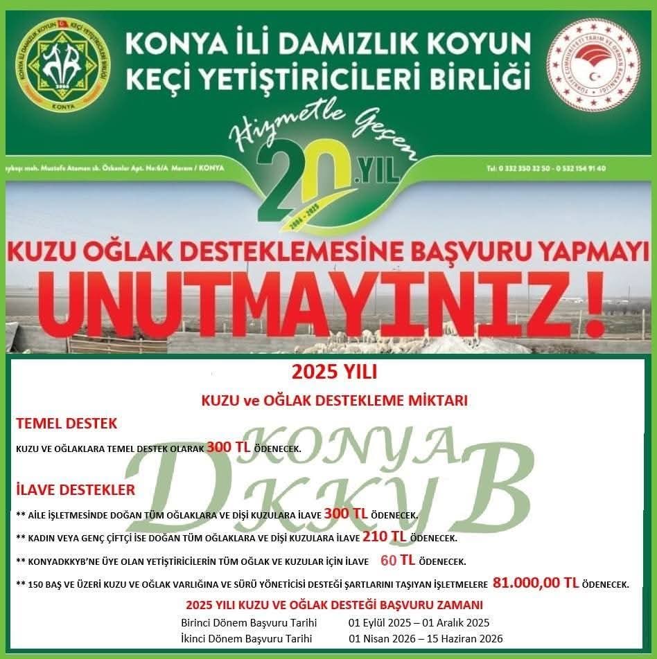 2025 YILI 1. DÖNEM KUZU OĞLAK DESTEKLEMESİ ÇALIŞMALARI TAMAMLANDI.