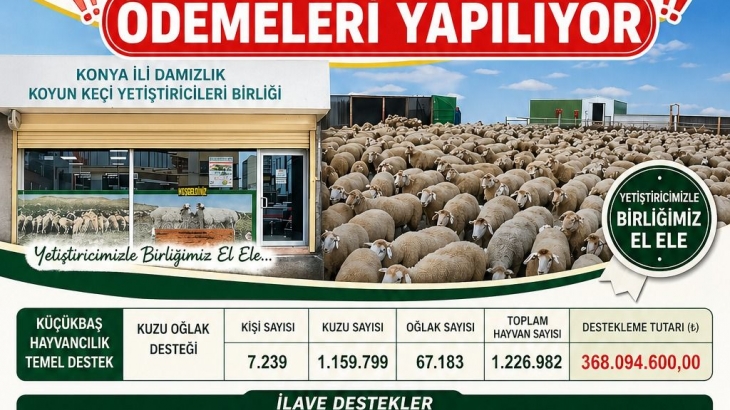 Üyelerimiz İçin Çalışıyor, Birlikte Başarıyoruz!